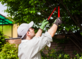 Medford Tree Service in Medford, OR Business Services