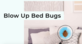Blow Up Bed Bugs in West Price Hill - Cincinnati, OH Pest Control Services