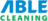 Able Cleaning FL in Land O Lakes, FL