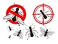 Ampm Exterminators in North Rose Hill - Kirkland, WA Pest Control Services