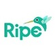 Ripe Media in North Hollywood, CA Web-Site Design, Management & Maintenance Services
