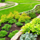 Moreno Landscaping in Prospect Heights, IL Gardening & Landscaping