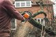 Tree Service St Louis in Saint Louis, MO Lawn & Tree Service
