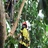 Keller Tree Service Experts in Keller, TX