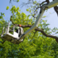 Lawn & Tree Service in Bartlett, IL 60103