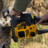 Wellington Tree Services and Removal in Rockwall, TX