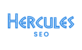 Hercules Seo in Duluth, MN Advertising, Marketing & Pr Services