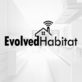 Evolved Habitat in Green Bay, WI Home Security Services
