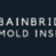 Bainbridge Mold Inspection in Bainbridge Island, WA