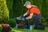 Tree Service Denver in Central West Denver - Denver, CO