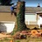 Pro Tree Service in North End - Tacoma, WA 98403