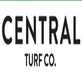 Central Turf Co.® Artificial Grass Houston in Bellaire, TX Artificial Grass
