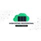 Web Hosting Prof in New York, NY