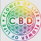Flower of Life CBD in San Clemente, CA Business Services