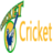 Full cricket live scores information in Lake Eola Heights - Orlando, FL