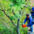 Evolution Tree Services in Waltham, MA
