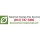 Savannah Georgia Tree Services in Savannah, GA Lawn & Tree Service