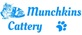 Munchkins Cattery in Duluth, MN Animal & Pet Food & Supplies Manufacturers