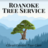 Roanoke Tree Service in Roanoke, VA