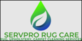 Pro Rug Cleaning Scarsdale in Purchase, NY