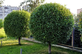 Lexington Tree Service Pros in Lexington, KY Landscape Garden Services