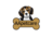 Aapetcare in Downtown - Akron, OH