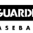Guardian Baseball in Louisville, KY