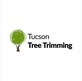 Tucson Tree Trimming in Old Fort Lowell - Tucson, AZ Tree & Shrub Spraying