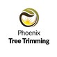 Phoenix Tree Trimming in Phoenix, AZ Lawn & Tree Service