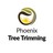 Phoenix Tree Trimming in Phoenix, AZ 85013 Lawn & Tree Service