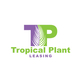 Tropical Plant Leasing in Miami, FL Plants & Floral Interior Design & Maintenance