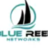 Blue Reef Networks in Dallas, TX