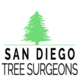 San Diego Tree Surgeons in Horton Plaza - San Diego, CA Tree Surgery