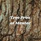 Tree Pros of Mentor in Mentor, OH Tree Service