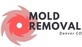 Mold Removal Denver in Denver, CO Molding Contractors