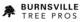 Burnsville Tree Pros in Burnsville, MN Lawn & Tree Service