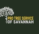 Pro Tree Service of Savannah in Savannah, GA Lawn & Tree Service