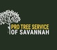 Lawn & Tree Service in Savannah, GA 31401