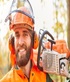 Tree Service San Jose in San Jose, CA Tree & Shrub Transplanting & Removal
