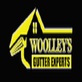 Woolley's Gutter Experts San Diego in Lemon Grove, CA Gutters & Downspout Cleaning & Repairing