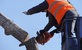 Carlsbad Pro Tree Service in Carlsbad, CA Lawn & Tree Service