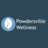 Powdersville Wellness in Powdersville, SC 29642 Chiropractic Clinics