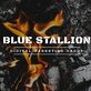 Blue Stallion Digital Marketing Group in Cherry Hill, NJ