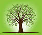 Tree Service of Charlottesville in Charlottesville, VA Tree & Shrub Transplanting & Removal