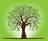 Tree Service of Charlottesville in Charlottesville, VA 22902 Tree & Shrub Transplanting & Removal
