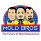 Mold Bros in Clearwater, FL Environmental Services Site Assessments & Remediation