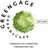 Greengage Urbanscape, in Brooklyn, NY