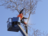Tustin Pro Tree Services in Tustin, CA