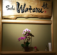 Wataru in Ravenna - Seattle, WA Sushi Restaurants