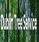Dublin Tree Services in Dublin, CA Tree & Shrub Transplanting & Removal
